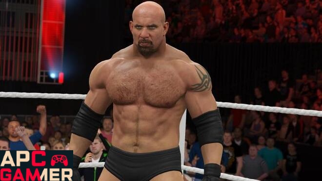 WWE-2K17-PC-Download-APcGamer