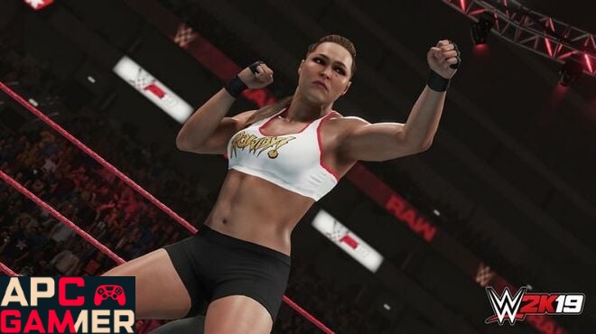 WWE-2K19-PC-Download-APcGamer