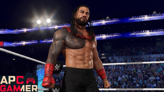 Wwe-2k25-PC-Download-APcGamer-com